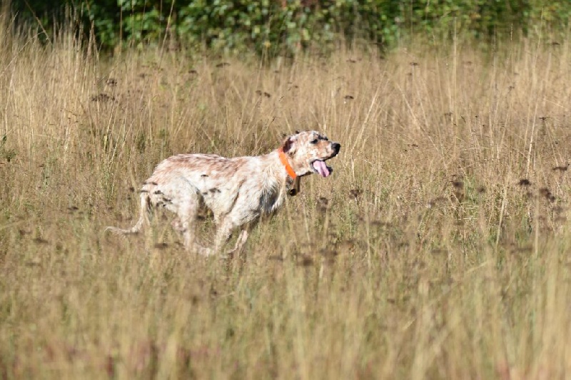 Java des rives du Haou