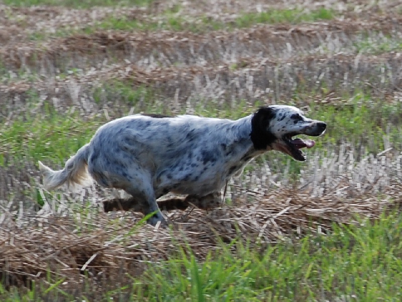 CH. TR. Vanille des rives du Haou