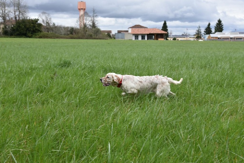 Java des rives du Haou