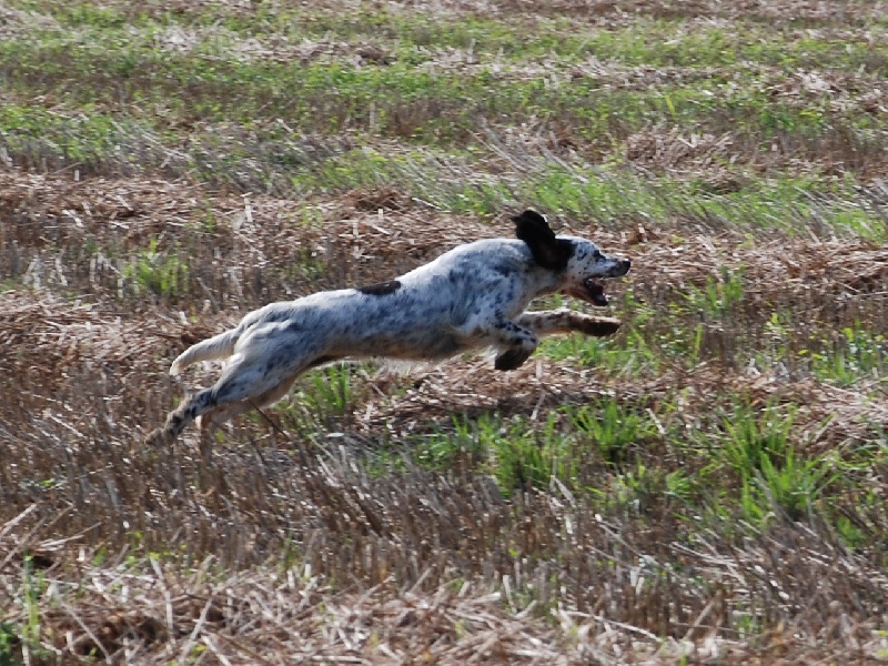 CH. TR. Vanille des rives du Haou