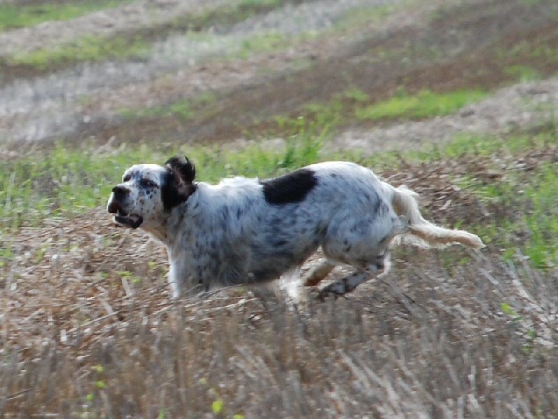 CH. TR. Vanille des rives du Haou