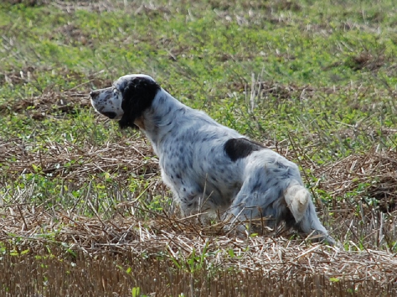 CH. TR. Vanille des rives du Haou